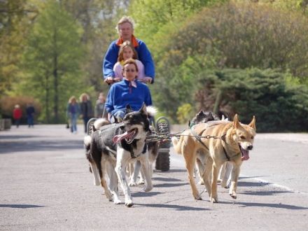 Dresdner Heimtiermesse 2007 rund um Bello, Mieze & Co