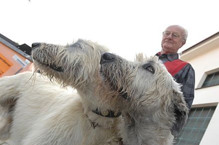Heimtiermesse Dresden vom 26. bis 28. September 2008