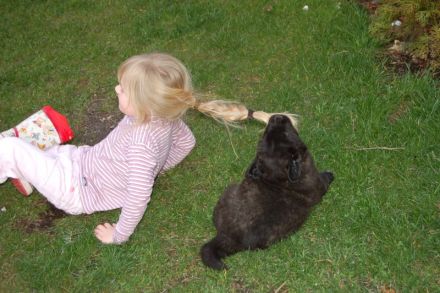 Kinder und Hunde: Tipps für ein vertrauensvolles Miteinander