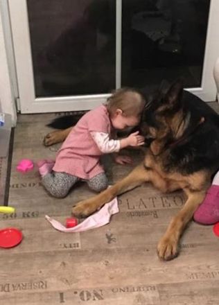 Kinder und Hunde: Tipps für ein vertrauensvolles Miteinander