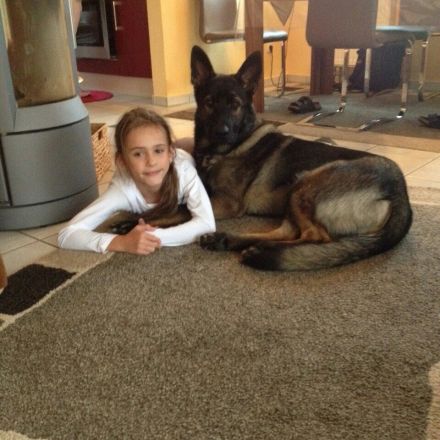 Kinder und Hunde: Tipps für ein vertrauensvolles Miteinander