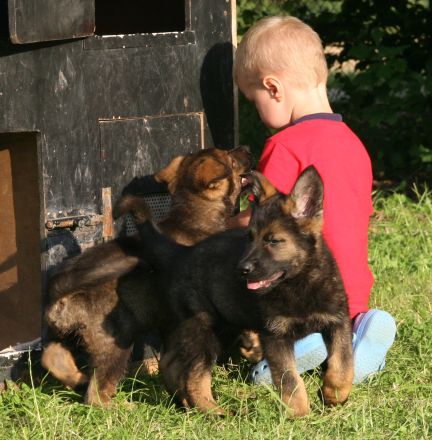 Kinder und Hunde: Tipps für ein vertrauensvolles Miteinander