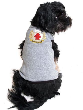 Hundebekleidung: Modischer Firlefanz oder sinnvolles Hundezubehör?