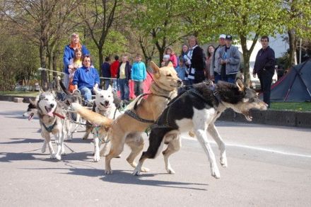 Hundefinder begeisterte mit Ausstellern auf der Haustiermesse Sachsen in Leipzig