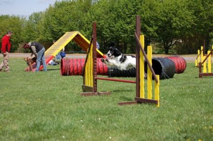 Hundefinder begeisterte mit Ausstellern auf der Haustiermesse Sachsen in Leipzig