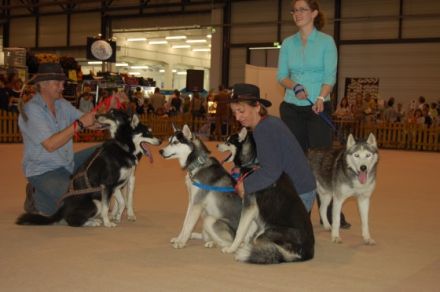 Hundefinder.de auf der Heimtiermesse Dresden