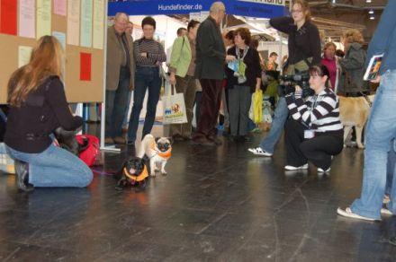 Hundefinder.de präsentierte Züchter auf Leipziger Touristikmesse