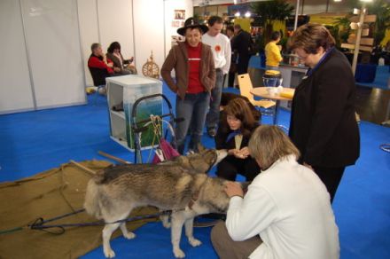 Hundefinder auf der 18. Touristik & Caravaning in Leipzig
