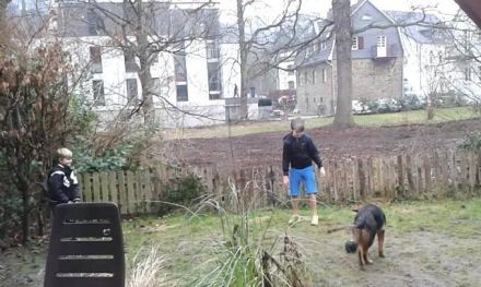 Hundehaltung: Sollte ich mir einen Hund anschaffen?