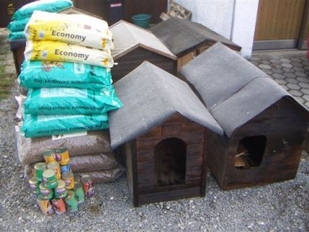 Hundehütten für Hunde in Ungarn