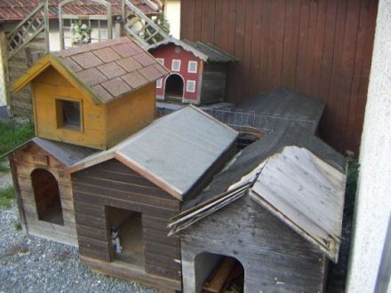 Hundehütten für Hunde in Ungarn