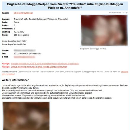 Weiterhin Vorsicht beim Hundekauf aus dem Ausland geboten