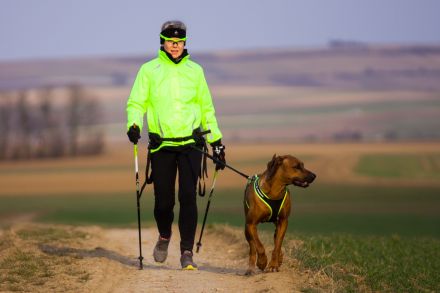 Zughundesport für "jederhund" - das Motto von Abenteuerhun.de