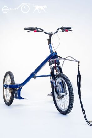 Zughundesport für "jederhund" - das Motto von Abenteuerhun.de