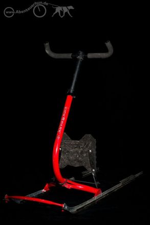 Zughundesport für "jederhund" - das Motto von Abenteuerhun.de