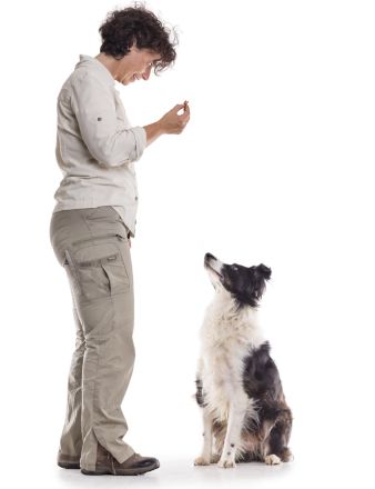 Die Eröffnung meiner Hundeschule