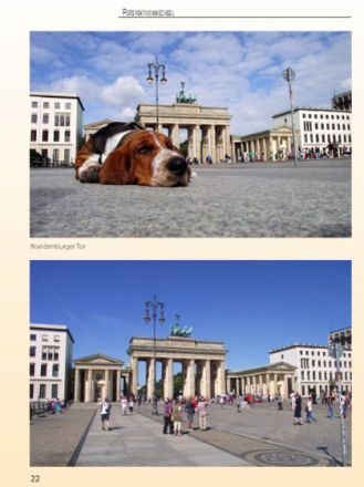 "Hundeshauptstadt Berlin" - Snautz.de verlost drei Exemplare