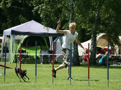 Agility - für alle, die es rasant mögen!