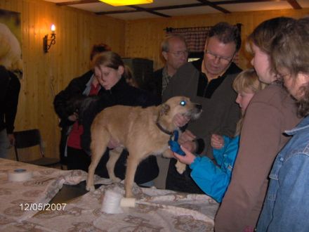 Ist der Hundesportverein auch eine Hundeschule?
