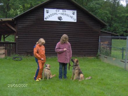 Ist der Hundesportverein auch eine Hundeschule?