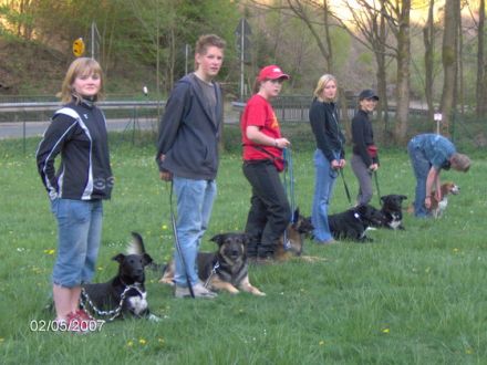 Ist der Hundesportverein auch eine Hundeschule?