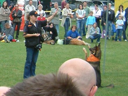 "Was ist denn der Hundefinder?"