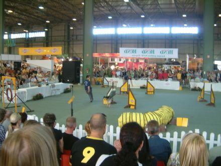 11. Nationale und Internationale Zuchtschau Leipzig 2006