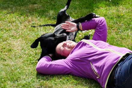 Kommunikation Mensch und Hund