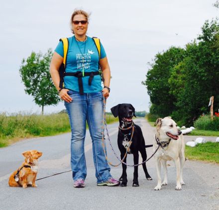 Kommunikation Mensch und Hund