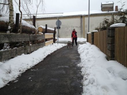 Mantrailing - Nasenarbeit auf höchstem Niveau