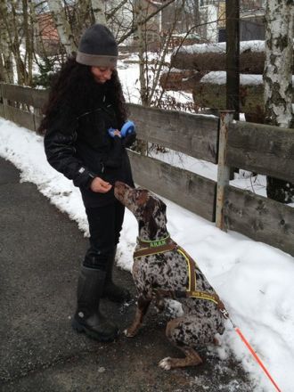 Mantrailing - Nasenarbeit auf höchstem Niveau