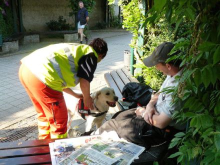 Mantrailing - Nasenarbeit auf höchstem Niveau