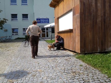 Mantrailing - Nasenarbeit auf höchstem Niveau