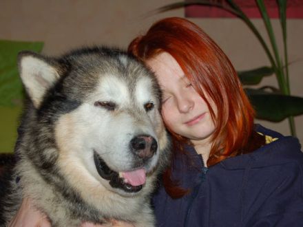 Polarhunde: Eine "blauäugige" Anschaffung?