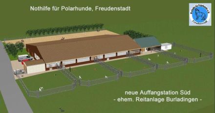 Polarhunde: Eine "blauäugige" Anschaffung?