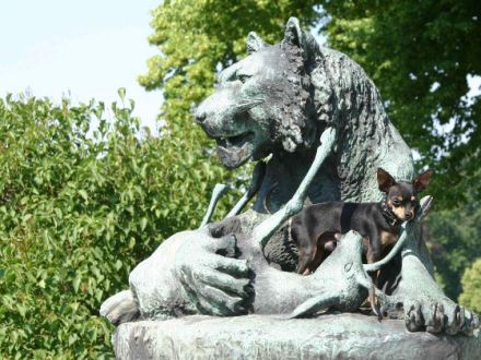 Preußen Rattler vom Friedrichshain