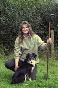 Quo vadis Border Collie?