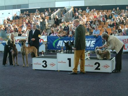 Von Hunden in der Hansestadt