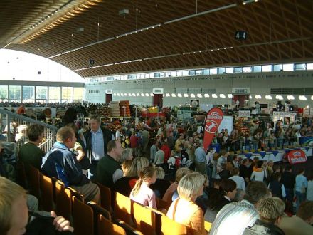 Von Hunden in der Hansestadt