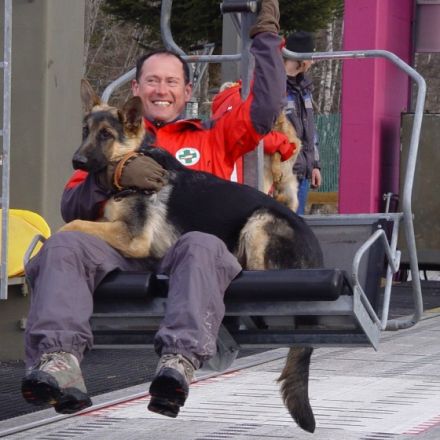 Retter auf vier Pfoten: Die Ausbildung von Rettungshunden