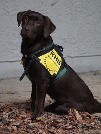 Ehrenamtlich mit Rettungshunden im Einsatz