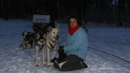 Schlittenhunde machen Urlaub in Finnland (Teil 2)