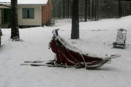 Schlittenhunde machen Urlaub in Finnland (Teil 3)