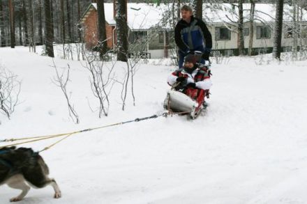 Schlittenhunde machen Urlaub in Finnland (Teil 3)