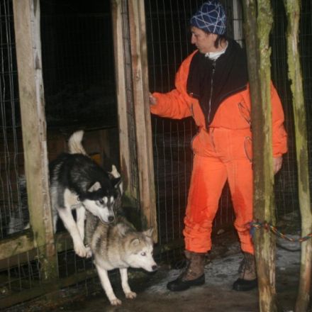 Schlittenhunde machen Urlaub in Finnland (Teil 1)