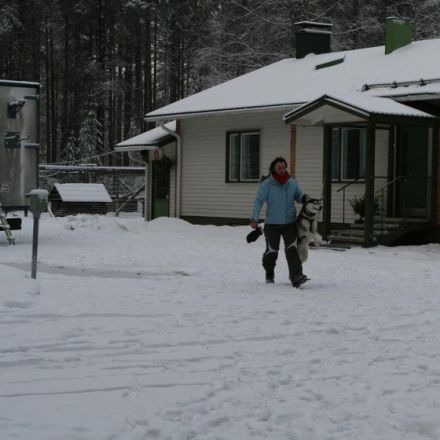 Schlittenhunde machen Urlaub in Finnland (Teil 1)
