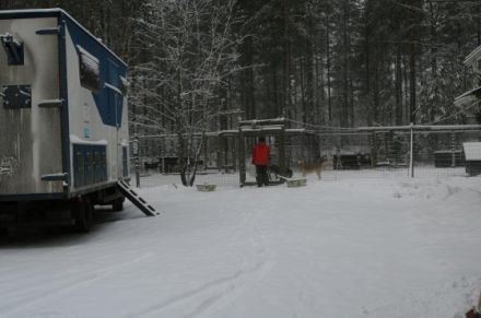 Schlittenhunde machen Urlaub in Finnland (Teil 1)