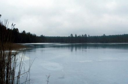 Schlittenhunde machen Urlaub in Finnland (Teil 1)