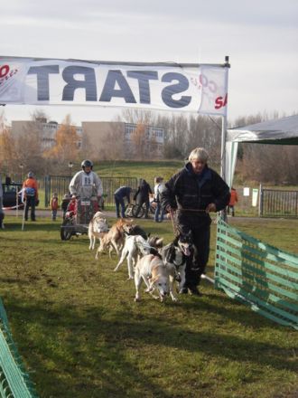 Schlittenhunderennen in Halle-Dieskau