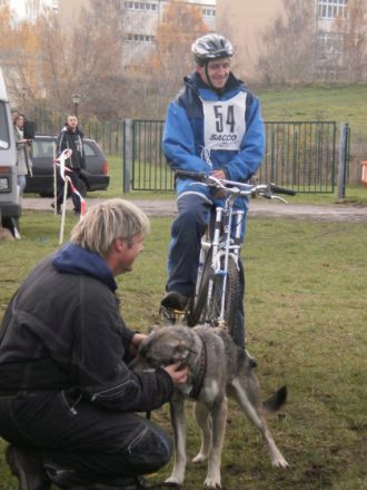 Schlittenhunderennen in Halle-Dieskau